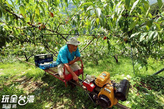 Da Kuan Peach Farm Resort Hualing Экстерьер фото