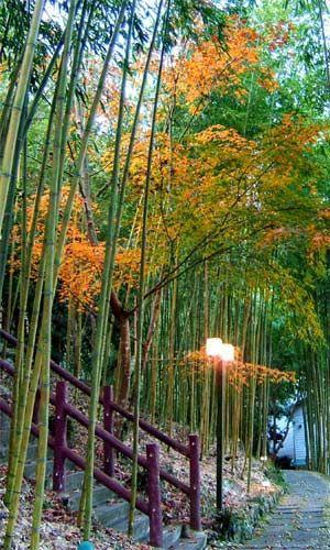 Da Kuan Peach Farm Resort Hualing Экстерьер фото